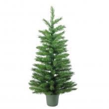 Potted Christmas tree Potted Christmas tree